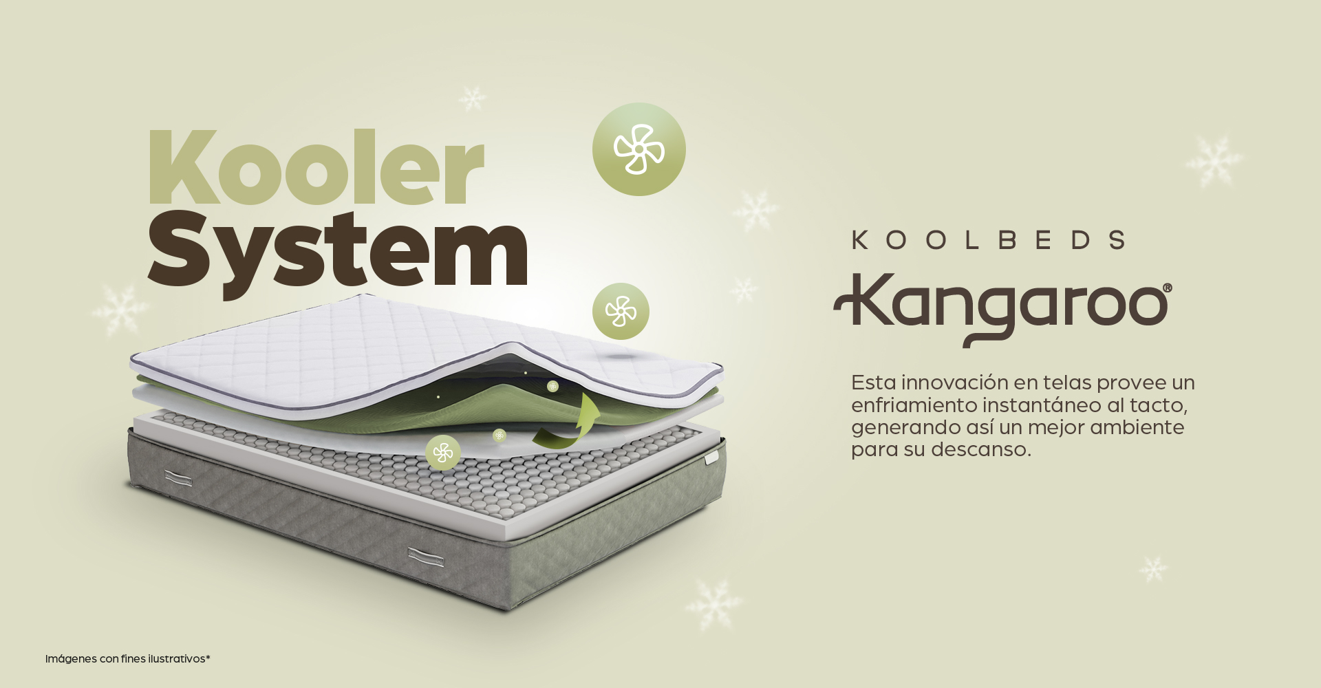 2310_Banner_Web_Kangaroo-3